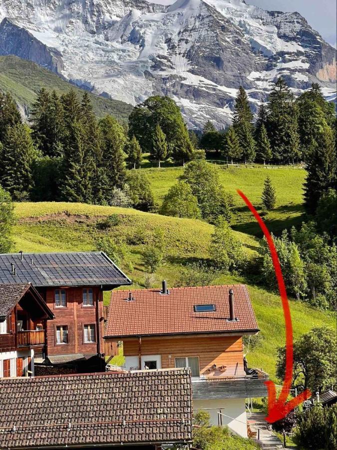 Chalet Viola Apartment Wengen Luaran gambar