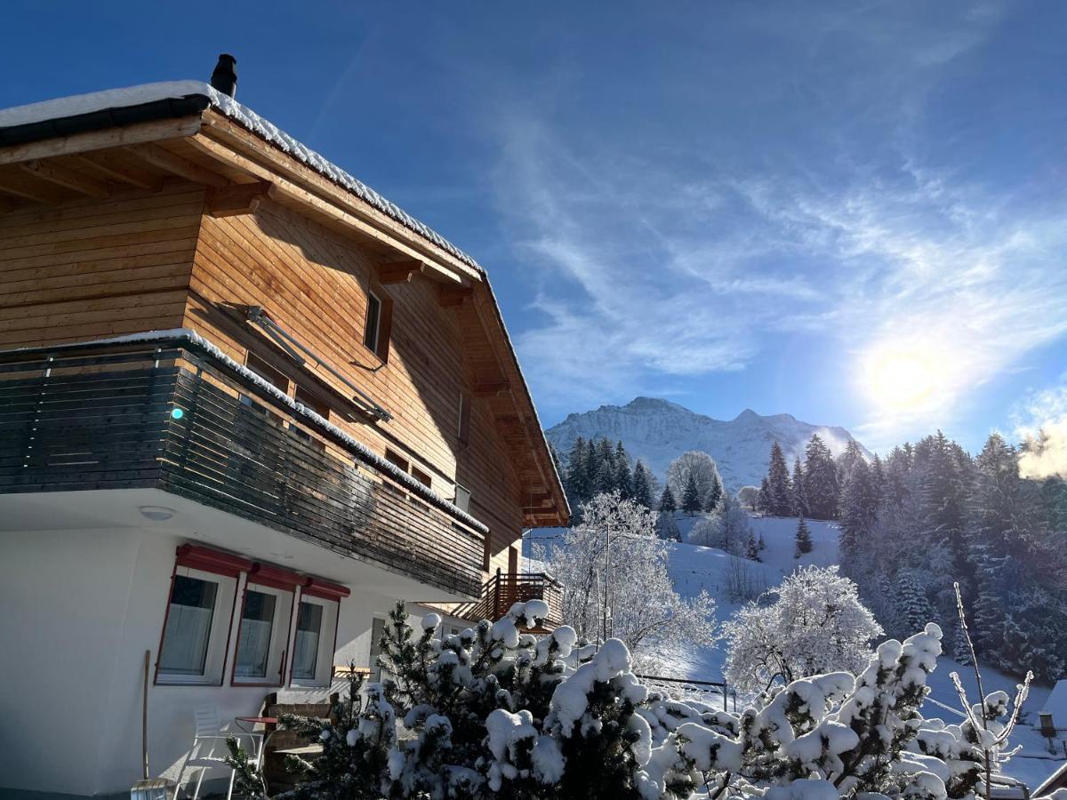 Chalet Viola Apartment Wengen Luaran gambar