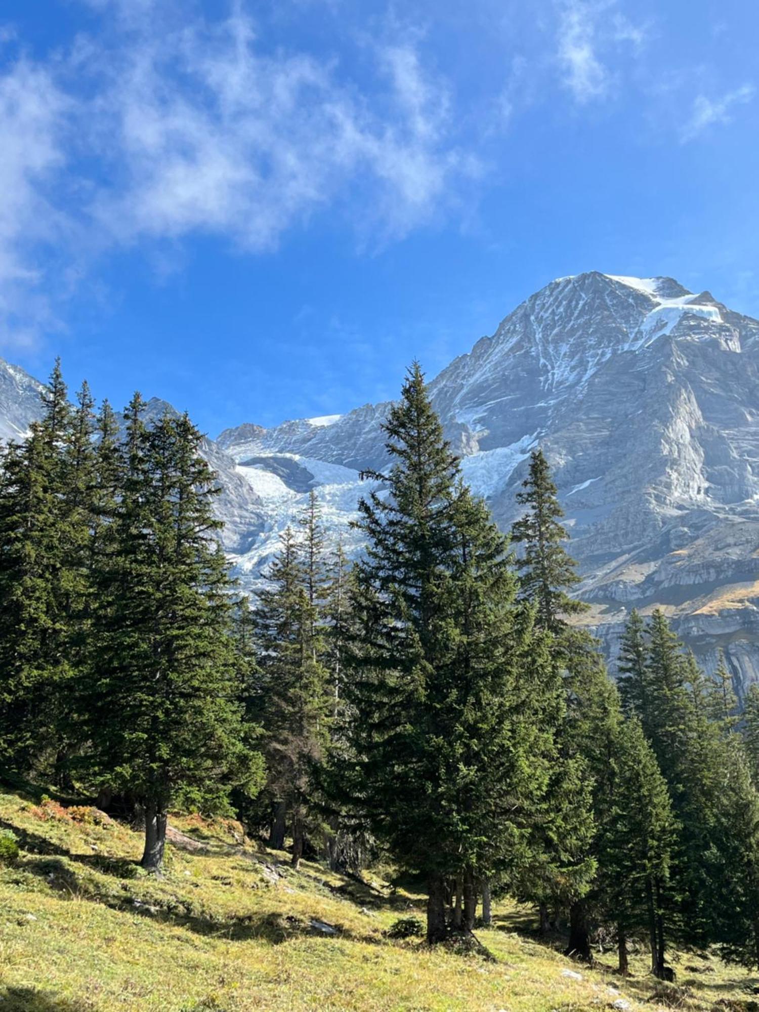 Chalet Viola Apartment Wengen Luaran gambar