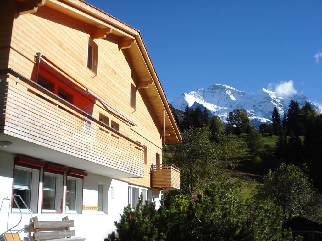 Chalet Viola Apartment Wengen Luaran gambar