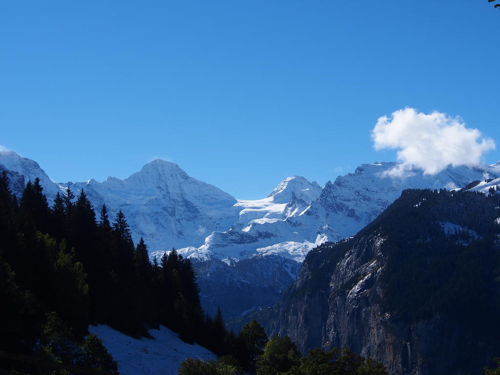 Chalet Viola Apartment Wengen Luaran gambar